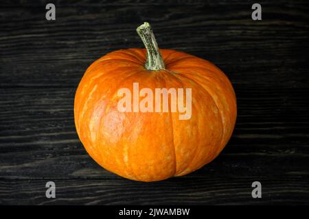 Pumpkin on dark wood planks, single orange squash, fresh vegetable on rustic wooden table. One pumpkin isolated on vintage background. Halloween, than Stock Photo