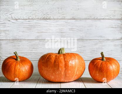 Pumpkins on wood white texture background for Halloween theme. Vegetables set, orange pumpkins on light wooden planks. Halloween, thanksgiving, design Stock Photo