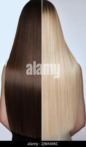 Woman before after hair coloring. Rear view, blond and brunette. Stock Photo