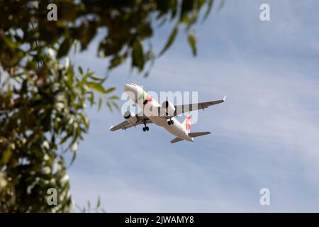 Lisbon, Portugal. 2nd Sep, 2022. TAP Air Portugal plane seen landing in Lisbon. (Credit Image: © Rita Franca/SOPA Images via ZUMA Press Wire) Stock Photo