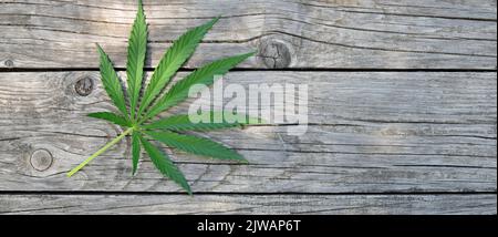Green marijuana leaf on a rustic wooden background with copy space. Stock Photo