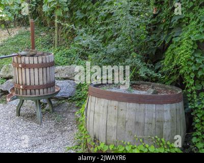 Old wooden barrel and wine press in a garden with lots of green under growth Stock Photo