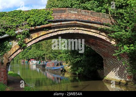 Summer in Moore village, Moore Bridge over the Bridgewater Canal, Halton, Cheshire, England with moored canal barges Stock Photo