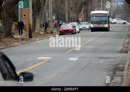 Halifax Transit bus on North Street in Halifax, Nova Scotia, Canada in 2022 Stock Photo