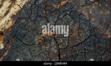 Close-up, the texture of the stone with a beautiful pattern. Stock Photo