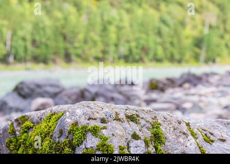 Mountain river among stones and trees.Moss on rock face. Relief and texture of stone with patterns and moss Stock Photo