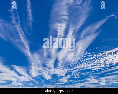 Drifting high-altitude jet aircraft contrails mingling with Altocumulus clouds (high contrast) - sud-Touraine, Indre-et-Loire (37), France. Stock Photo