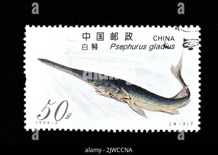 CHINA - CIRCA 1994: A stamp printed in China showsSturgeon Psephurus Gladius ,circa 1994 Stock Photo