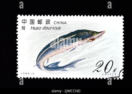 CHINA - CIRCA 1994: A stamp printed in China showsSturgeon  Huso Dauricus, ,circa 1994 Stock Photo