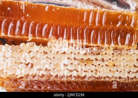 Honeycombs. Rosh Hashanah. Honeycomb in in a rustic plate. Bizarre angle. . Jewish New Year holiday greeting card. Rosh Hashanah holiday attributes. S Stock Photo