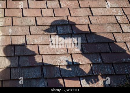 The shadows on the brick wall  of two men talking Stock Photo