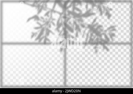 Scenes of natural lighting.Soft shadow form window and plants, light overlay effect. Effect Template for social media backgrounds, product presentations, photo shots. Stock Vector