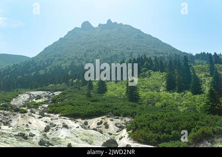 peak with the crater of the Mendeleev volcano on the island of Kunashir is visible through the atmospheric haze from a slope with a fumarole field Stock Photo