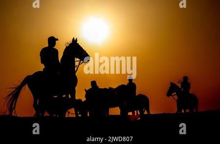 horse riding in el gouna hurghada egypt Stock Photo