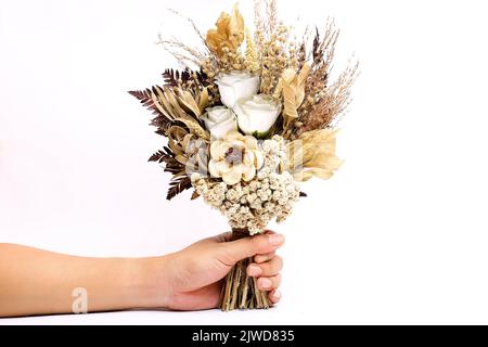 bouquet of edelweiss flowers and dried leaves hand held isolated on white background Stock Photo