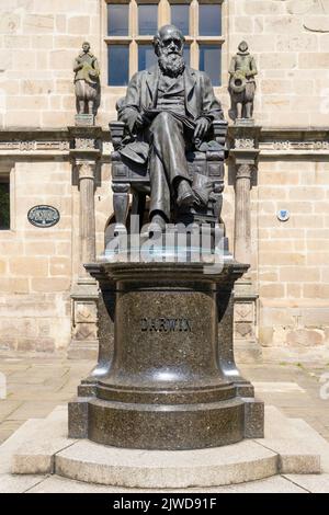 Statue of Charles Darwin Statue outside Shrewsbury Library Shrewsbury Shropshire England UK GB Europe Stock Photo