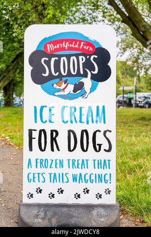 Front view of a sign in a park offering Ice cream for dogs. Stock Photo
