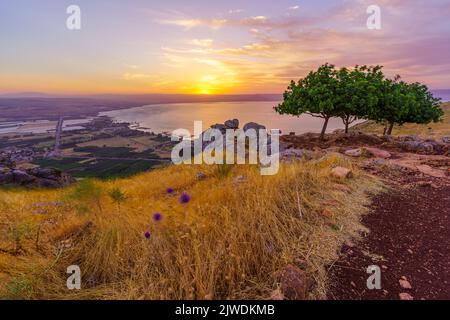 Sunrise view of the Sea of Galilee, from Mount Arbel (west side). Northern Israel. With long exposure of trees moving in strong winds Stock Photo