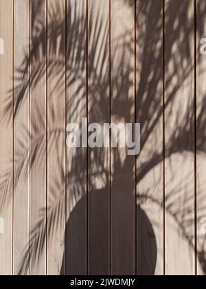 Shade from a palm tree on a wooden floor. Shadow pattern from a palm tree in a pot on a wooden sunny floor Stock Photo