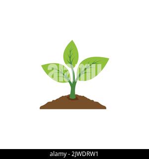 plant icon vector. leaf growing design. Seed and seeding vector icon. Flat design growing plant or tree logo symbol. Vector illustration Stock Vector
