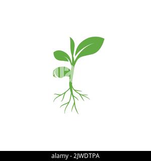Sprout eco logo icon. Green leaf seedling icon symbol. Growing plant design concept. Eco icon theme. Ecology icon. seed growing icon. Vector illustration Stock Vector