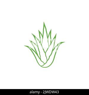 Green aloe vera plant icon design. Aloe vera leaf icon. Aloe vera plant icon. Vector illustration Stock Vector