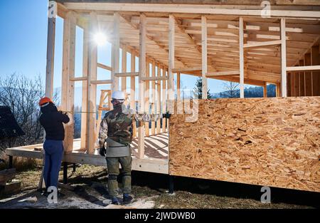 Men workers building wooden frame house on pile foundation. Back view of carpenters using tape measure for measuring wooden planks. Carpentry concept. Stock Photo