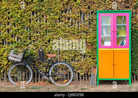 Dutch free mini public library with bicycle in autumn Stock Photo