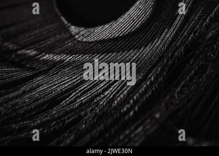 Beautiful glossy black and white peacock bird feather closeup abstract lines pattern texture background concept, Beautiful glossy shiny black image. Stock Photo