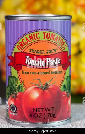 Still life of Trader Joe's organic tomato paste, USA Stock Photo