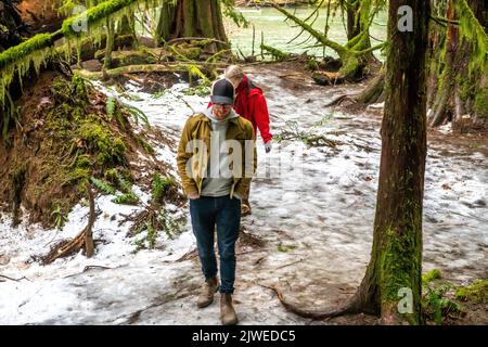 Two people walking in winter woods, MacMillan Provincial Park, Vancouver island, Vancouver, British Columbia, Canada Stock Photo