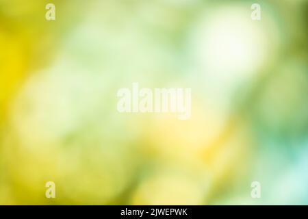 Yellow green blurred background with soft gradient and bokeh. Backdrop Stock Photo