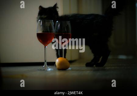 A black cat near wine glasses Stock Photo