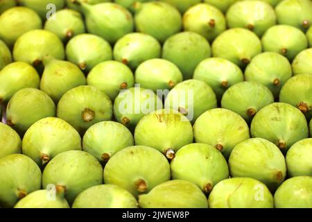 Ripe green fig fruits stacked in rows on a market Stock Photo