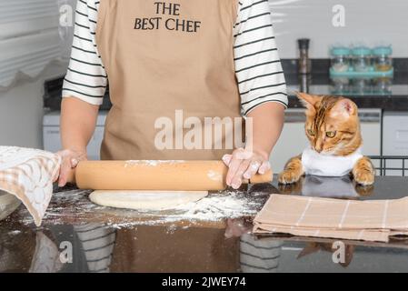 A woman in an apron, before preparing pizza, rolls out the dough on the kitchen table using a rolling pin. Stock Photo