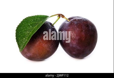 wet purple plums with leaf isolated on white background Stock Photo