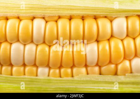 Texture from yellow grains of corn close-up. Corn background Stock Photo