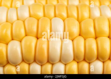 Texture from yellow grains of corn close-up. Corn background Stock Photo
