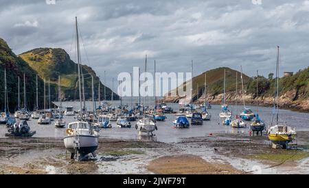 Watermouth Cove on the north coast of Devon, situated between Combe Martin and Ilfracombe, is a natural harbour on the edge of Exmoor National Park an Stock Photo