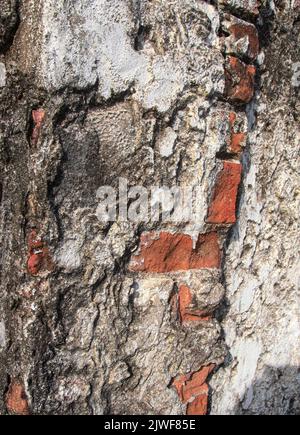 Rugged, rust, red, white cemented, brick wall from Galle Fort Sri Lanka; Damaged tsunami damaged emergency abandoned house Stock Photo
