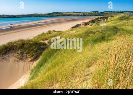 Sand dunes and marram grass at Newborough , Anglesey, North Wales Stock Photo