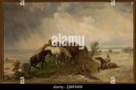 Yalangoch Jozefina Jeyms fotosurati