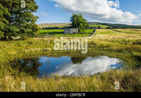 Beautiful reflection in an oval pond with a stone barn behind near Ravenstone in Cumbria Stock Photo