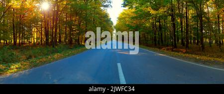 The road through the autumn forest. The morning sun shines through the brush and tree branches. Stock Photo