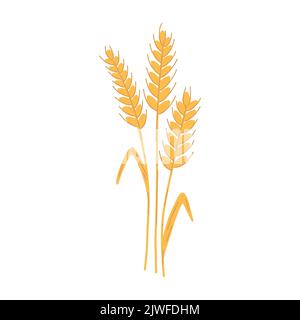 Wheat ear spikelet with grains in cartoon flat style. Vector illustration of cereal grain stem, rye ear, organic vegetarian food for backery, flour Stock Vector