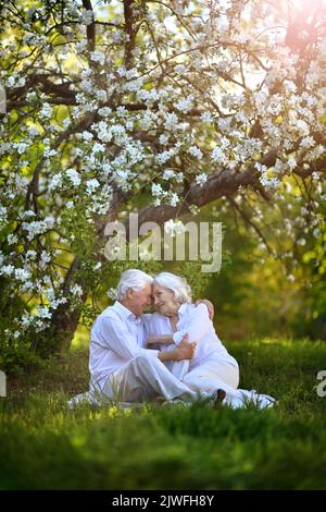Beautiful elderly couple sits in the apple orchard Stock Photo