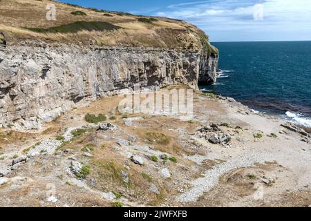 Dancing Ledge, Jurassic coast, Isle of Purbeck, Langton Matravers, summer, Dorset, UK Stock Photo