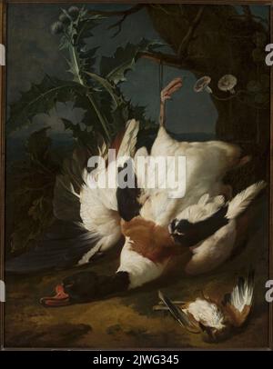Dead drake. Weenix, Jan (1640/1641-1719), painter Stock Photo