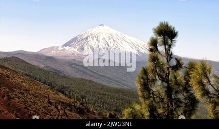 A closeup shot of the snowy summit of Mount Teide surrounded by grass fields and trees Stock Photo