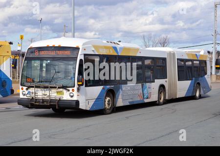 Articulated bus (Novabus LFS Artic) at Sackville Terminal of the Halifax Transit system in Halifax, Nova Scotia, Canada Stock Photo